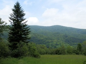 beskid wyspowy 51 (1)